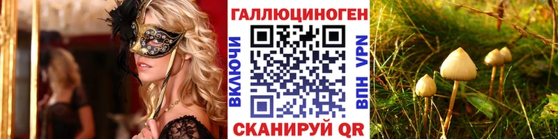 Галлюциногенные грибы мицелий  Новоржев 
