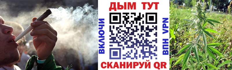где продают   Новоржев  Каннабис Amnesia 